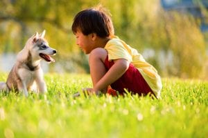 Child and dog outside, find the best pest control in Raleigh, NC, Wake Forest, NC and Cary, NC with Kind Pest Control, exterminators for termite control and much more!