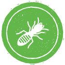 Termite icon, termite control in Raleigh, NC, Wake Forest and Cary, NC, pest control, rat control, wildlife control and ant control from PPC.