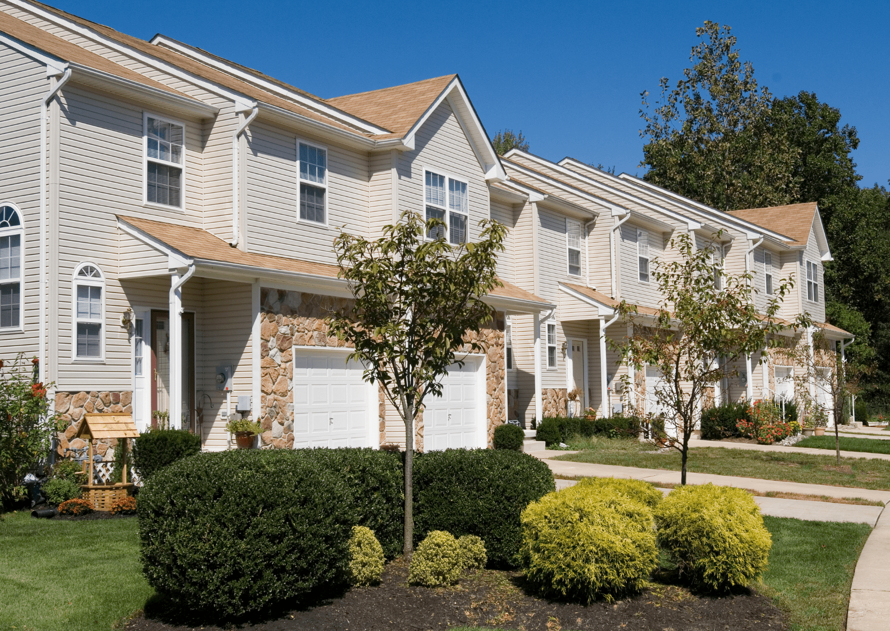 Renter
